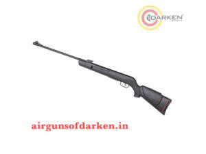Gamo Big Cat Piston Air Rifle